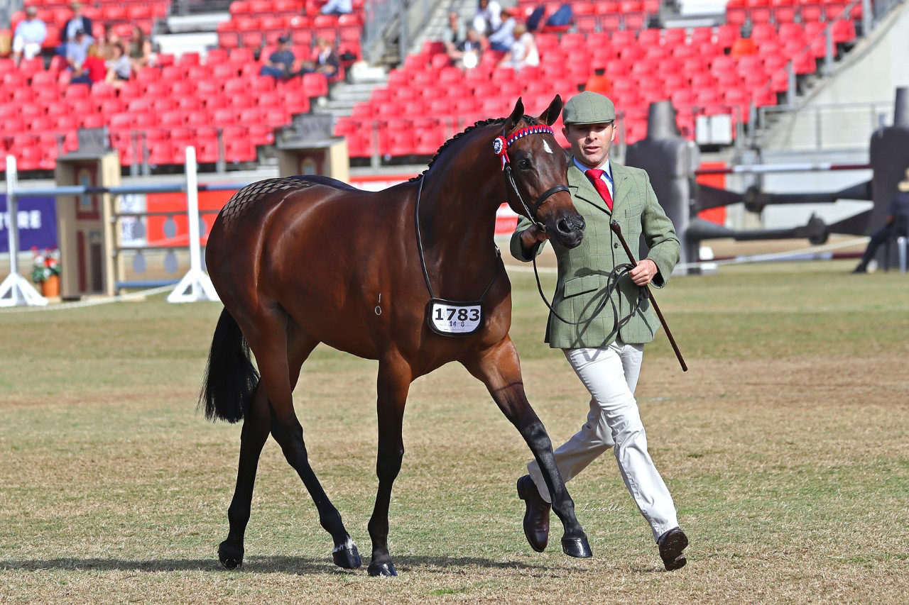 Melody Park Top Glamour at Sydney Royal